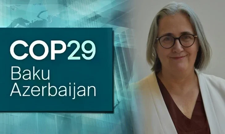 Подкомитет ВТамО разрабатывает новые положения в рамках COP29 Новости Азербайджана