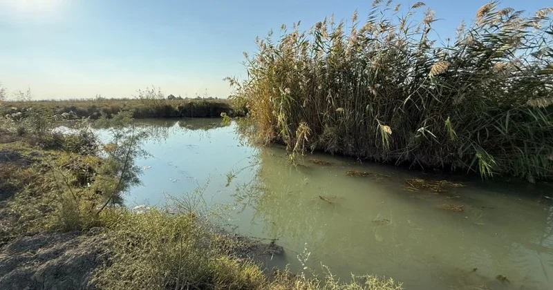 Yevlax Su Meliorasiya İdarəsində özbaşınalıq