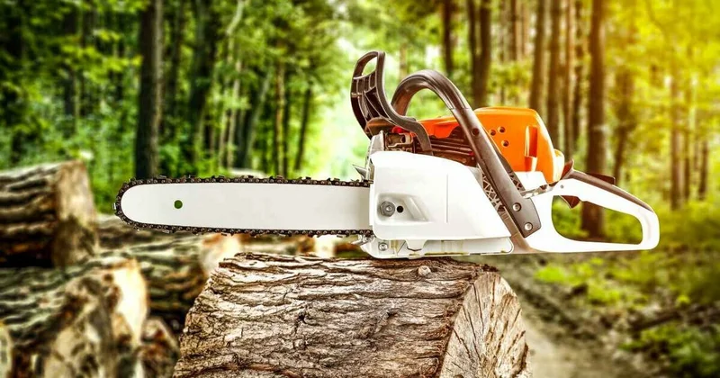 İçinə cin girən sevgilisini elektrikli mişarla doğradı Polisə deyib ki...