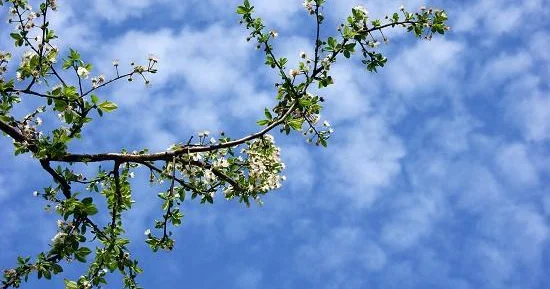 Gələn il üçün fəsillərin Azərbaycana daxilolma vaxtları...