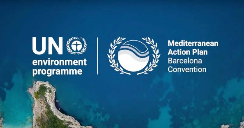 Misir Barselona Konvensiyasının 24 cü Tərəflər Konfransına ev sahibliyi edəcək