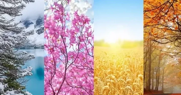 Точность до секунды: азербайджанские астрофизики рассчитали календарь смены времён года на 2026 год