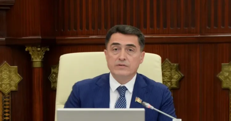 Deyirlər ki, yeni vergi siyasətindən sonra vay, batacağıq, müflis olacağıq Əli Hüseynli