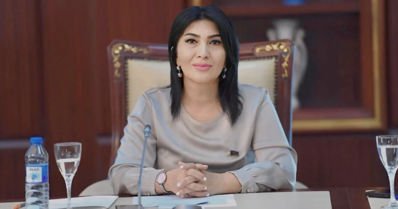 Deputat Elnarə Akimova plenar iclasda təkliflərlə çıxış etdi