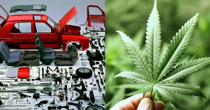 Türkdilli ölkədə çətənədən avtomobil detalları hazırlanacaq