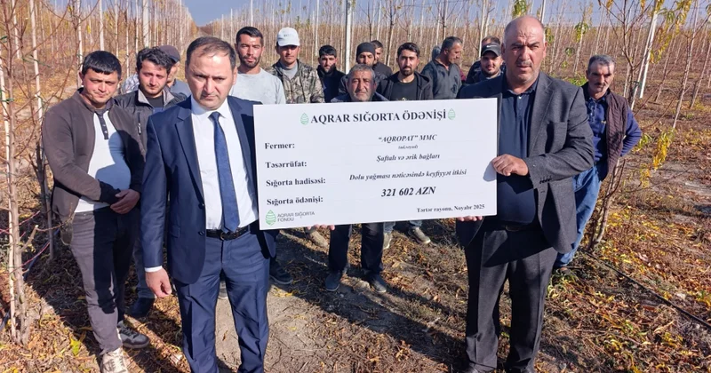 Azərbaycanda ilk dəfə meyvənin dəyərinin azalması üzrə aqrar sığorta ödənişi edilib