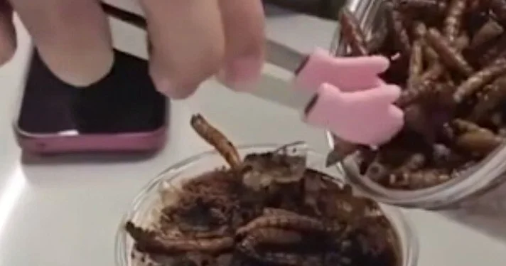 Tərkibində tarakan və qurd olan qəhvə: 10 manat 50 qəpiyə