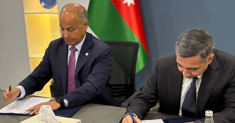 В Баку пройдет Кубок мира по плаванию ФОТО