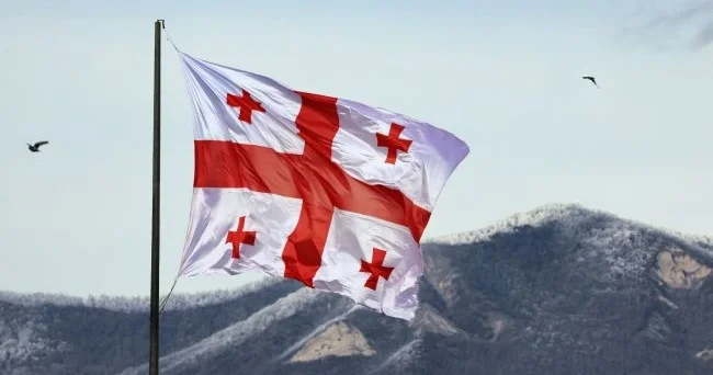 Gürcüstan Aİ ni insan hüquqları müzakirələrini pozmaqda ittiham edir