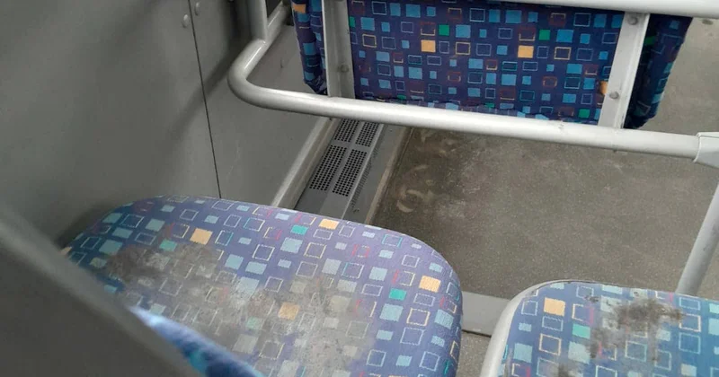 Bakıda xəstəlik mənbəyi olan avtobuslar: Bu nədi belə?