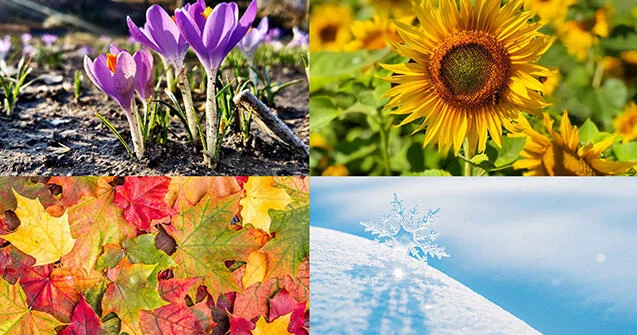 Названы даты наступления времен года в Азербайджане