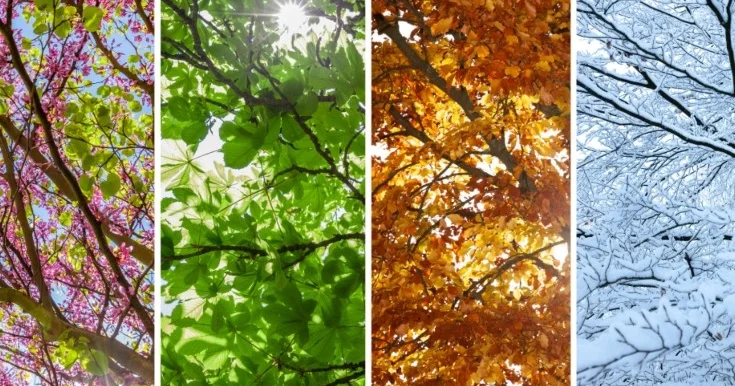 Fəsillərin Azərbaycanda başlama vaxtları açıqlandı