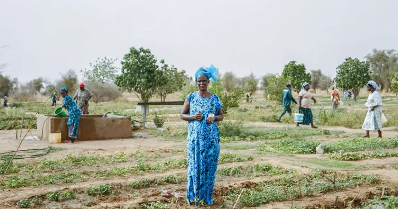 “National Geographic”dən 2025 ci ilin heyrətamiz görüntüləri