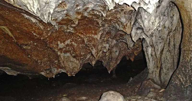 Азербайджанские и российские археологи возобновили раскопки в Азыхской пещере Minval Politika