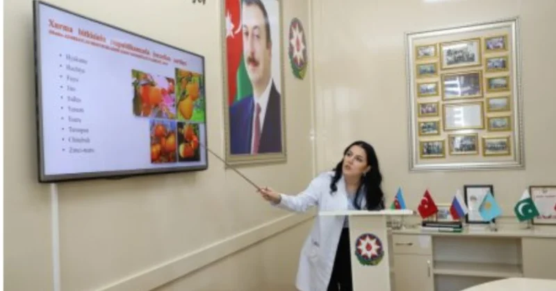 BMTBETİ də 2025 ci il üzrə Elmi Texniki Şuranın iclaslarına başlanılıb