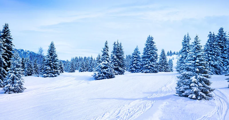 Первый снег стал причиной дорожного коллапса в Швеции