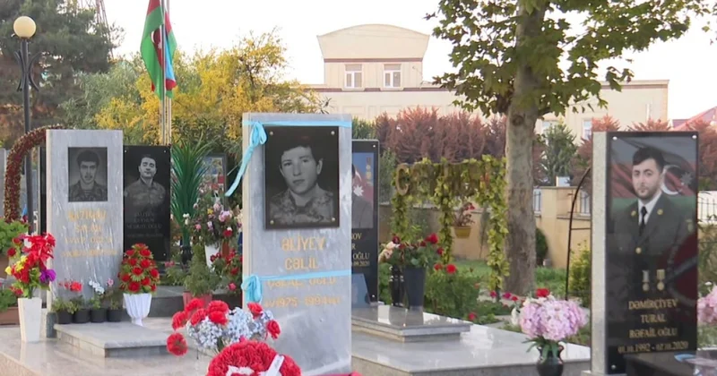 Вопиющий случай на Аллее шехидов в бакинском поселке