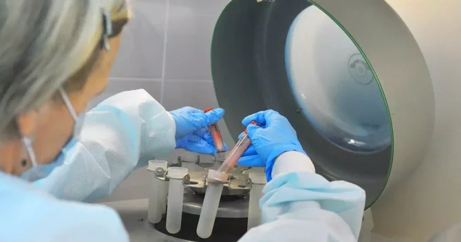 Moskvanın bir rayonunda quduzluq yayıldı Karantinə aldılar