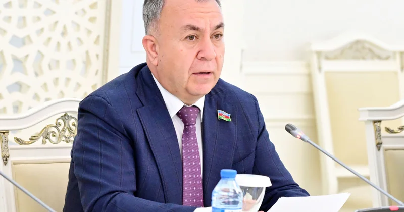 В Милли Меджлисе Азербайджана предложили создать Фонд зеленых отходов и энергии