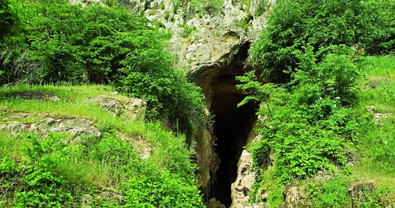 Azıx mağarasında tədqiqat işləri bərpa edildi