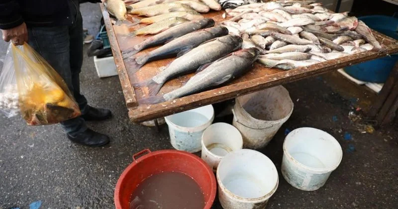 “8 ci km” bazarında nöqsanlar aşkarlandı VİDEO KONKRET