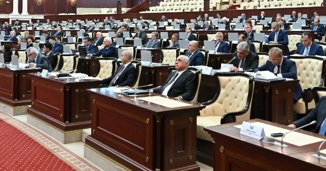 NAZİRLƏRİN “DELFİN STATİSTİKASI” “Azərbaycanda açılan iş yerlərini deyirlər, bağlananları isə demirlər”