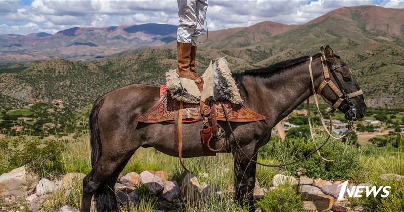 23 истории: самые сильные кадры 2025 года от National Geographic ФОТО