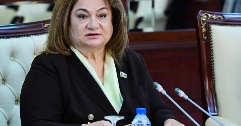 Üç və daha çox uşaqlı ailələrə sosial dəstək proqramlarının həyata keçirilməsinə ehtiyac var Komitə sədri