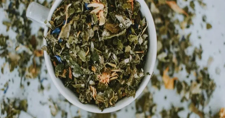 Hər gün yaşıl çay içməyin orqanizmə FAYDALARI