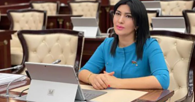 Deputat: Kitaba, ədəbiyyata sərmayə qoymaqdan çəkinməməliyik