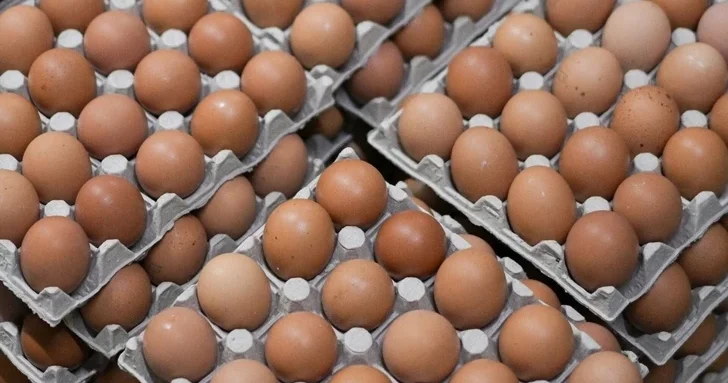 Производство пищевых яиц в Азербайджане выросло более чем на 40%