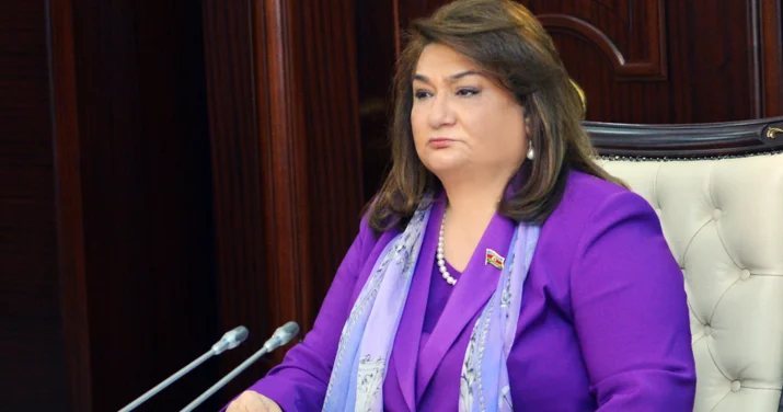 Hicran Hüseynova parlamentdə təkliflə çıxış edib