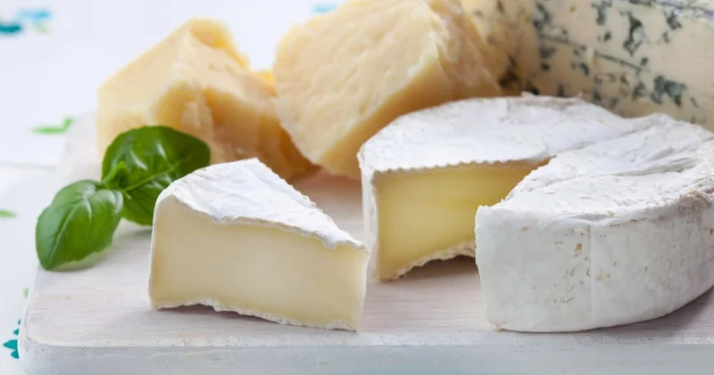 Bağırsaq sağlamlığı üçün ən zərərli pendir növünü hansıdır?