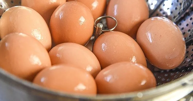 Yumurta bahalaşıb Kənd yumurtası 50 qəpiyə təklif olunur