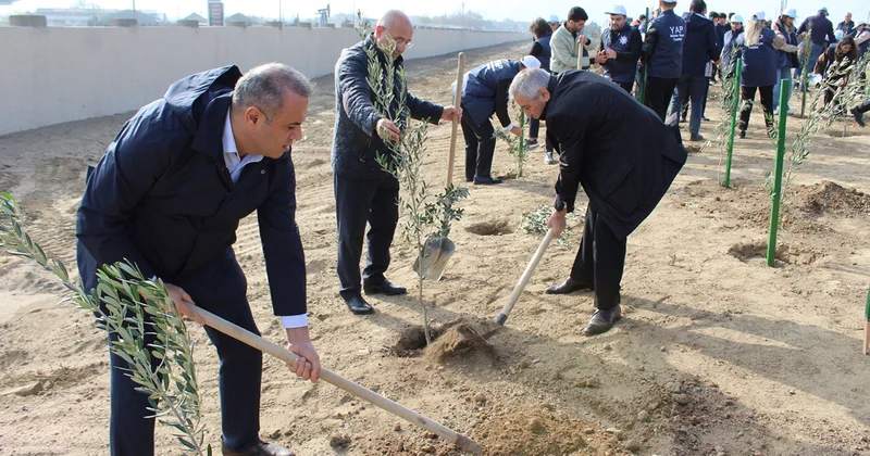 Sabunçuda ağacəkmə aksiyası keçirildi Fotolar