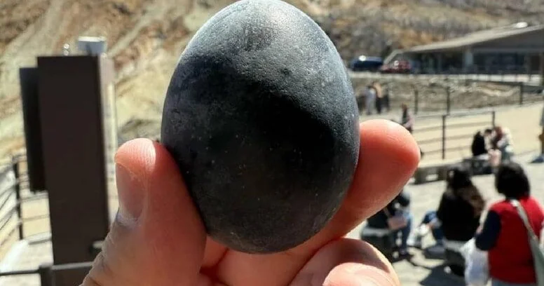 Kömür kimi qara yumurtalar qızıldan da dəyərlidir: 195 manata satılır