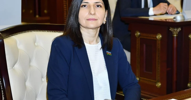 Avrasiyanın yeni siyasi mərkəzi: Azərbaycan Mərkəzi Asiya inteqrasiyasının əhəmiyyəti ŞƏRH