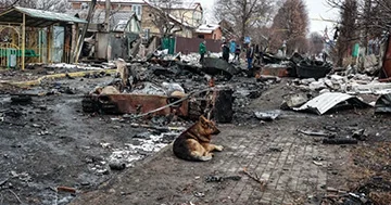 Buçada vəhşiliklər törədən müharibə cinayətkarı müəyyən edilib..?