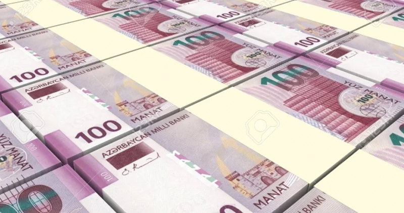 Deputat: Manatın məzənnəsi sabit qalsa da, alıcılıq qabiliyyəti sürətlə aşağı düşür