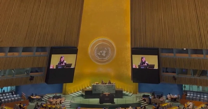 В ООН приняли резолюцию об олимпийском перемирии на зимних ОИ в 2026 году