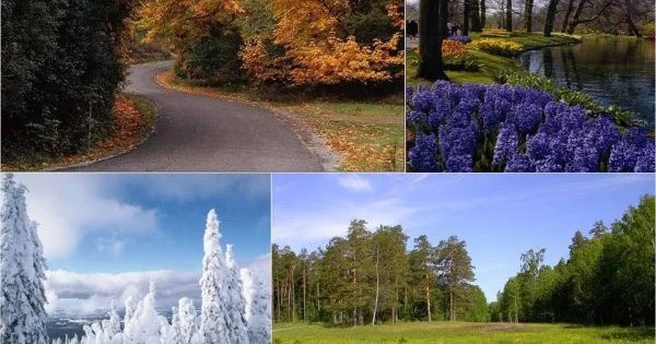 В Азербайджане объявлены даты равноденствий и солнцестояний 2026 года