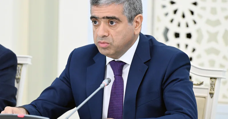 Министр назвал долю социально ориентированных расходов в госбюджете Азербайджана на 2026 г.