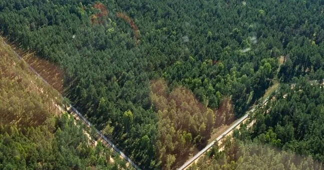 Litva Belarus sərhədi ilə bağlı yeni xəbər