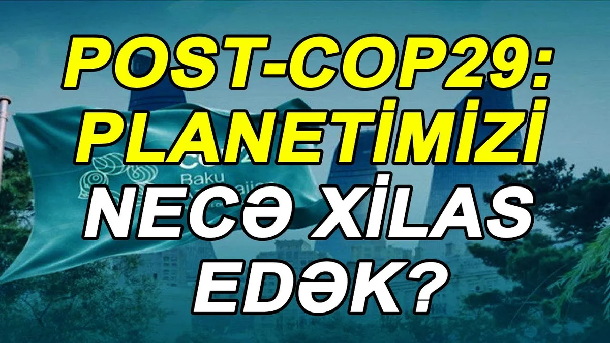 PostCOP29: planetimizi necə xilas edək?