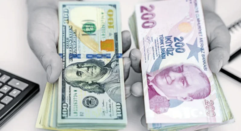 Türkiyə lirəsi dollar qarşısında tarixi minimuma enib