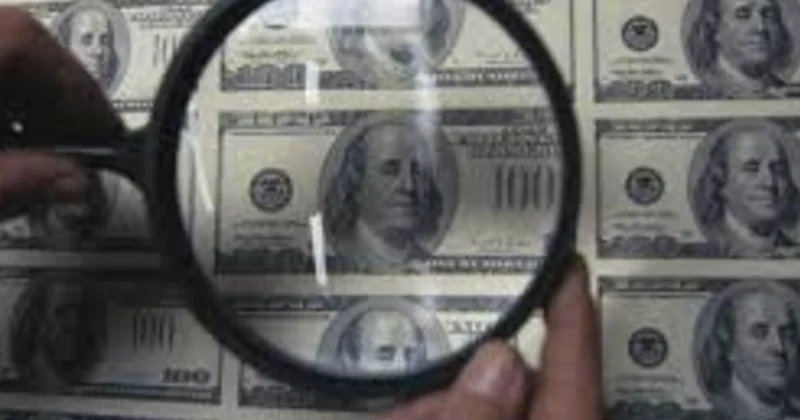 Bakıda işlədiyi evdə oğurladığı dollarların yerinə saxtalarını qoyan usta saxlanılıb