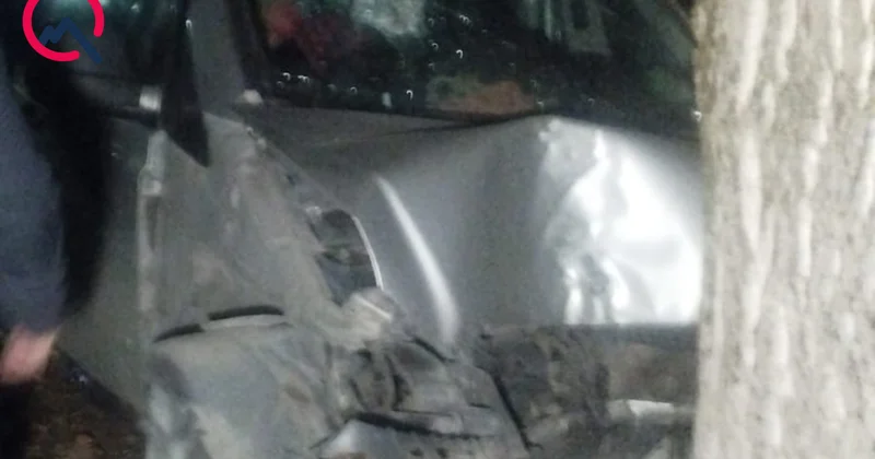 Oğuzda mikroavtobus ağaca çırpıldı Ölən və yaralananlar var Foto