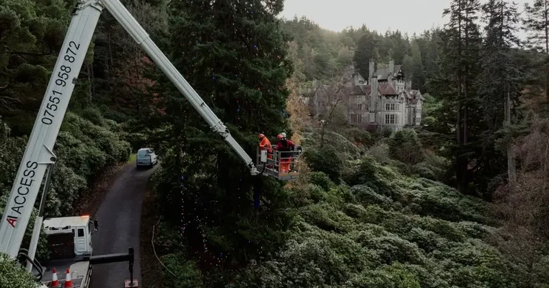 Dünyanın ən böyük Yeni il ağacı bəzədildi