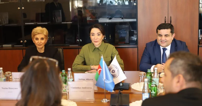 Ombudsman BMT nin ölkəmizdəki rezident əlaqələndiricisini qəbul edib