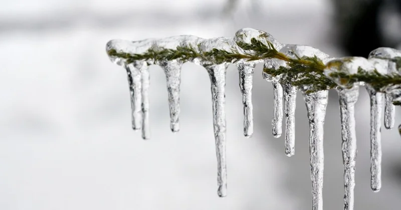 GÜNÜN HAVASI: 10 dərəcə şaxta, duman...